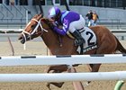 Princess of Sylmar has won 4 in a row.<br><a target="blank" href="http://photos.bloodhorse.com/AtTheRaces-1/at-the-races-2013/27257665_QgCqdh#!i=2347511325&k=dFGM9t6">Order This Photo</a>