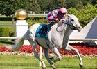 Silverfoot Favored in Kentucky Cup Turf Silverfoot Favored in Kentucky Cup Turf
