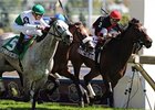 Princess Haya was named 2009 Texas Horse of the Year and champion female.