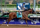 Cary Street won the Las Vegas Marathon on Oct. 31.<br><a target="blank" href="http://photos.bloodhorse.com/AtTheRaces-1/At-the-Races-2014/i-KgphR8P">Order This Photo</a>