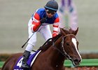 Espoir City, Japan's champion dirt horse last year, got his 2010 campaign off to a great start by easily winning the February Stakes at Tokyo.