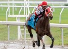 Friesan Fire Dominates Louisiana Derby Friesan Fire Dominates Louisiana Derby