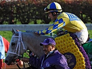 Hansen Headed for Aqueduct's Gotham Next Hansen Headed for Aqueduct's Gotham Next