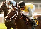 Celtic Princess wins the Royal Heroine.<br><a target="blank" href="http://www.bloodhorse.com/horse-racing/photo-store?ref=http%3A%2F%2Fpictopia.com%2Fperl%2Fgal%3Fprovider_id%3D368%26ptp_photo_id%3D9586388%26ref%3Dstory">Order This Photo</a>
