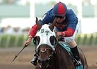 Elysium Fields is out of consideration for the Kentucky Derby (gr. I).