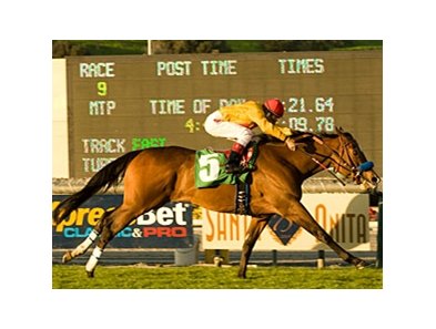 Tuscan Evening faces 7 in the Santa Ana.<br><a target="blank" href="http://www.bloodhorse.com/horse-racing/photo-store?ref=http%3A%2F%2Fpictopia.com%2Fperl%2Fgal%3Fprovider_id%3D368%26ptp_photo_id%3D8795240%26ref%3Dstory">Order This Photo</a>
