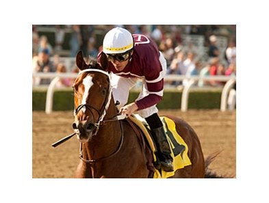 The Robert B. Lewis is next for Sham winner Tapizar.<br><a target="blank" href="http://www.bloodhorse.com/horse-racing/photo-store?ref=http%3A%2F%2Fpictopia.com%2Fperl%2Fgal%3Fprovider_id%3D368%26ptp_photo_id%3D9372201%26ref%3Dstory">Order This Photo</a>