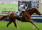 Stormy Lord wins the Connaught Cups Stakes.