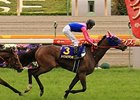 Meisho Mambo wins the Yushun Himba in Japan.
<br><a target="blank" href="http://photos.bloodhorse.com/AtTheRaces-1/at-the-races-2013/27257665_QgCqdh#!i=2520978420&k=L9T9ZFh">Order This Photo</a>