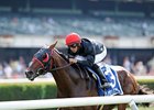 Point of Entry Could Be Dynaformer's Heir Point of Entry Could Be Dynaformer's Heir