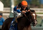 Strut the Course seeks her second graded stakes win of the year in the Ontario Matron Stakes.