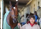 Uncle Sigh
<br><a target="blank" href="http://photos.bloodhorse.com/AtTheRaces-1/At-the-Races-2014/i-FxnzRS9">Order This Photo</a>