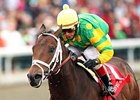 Aikenite to Stand at Calumet Farm Aikenite to Stand at Calumet Farm