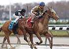 Salutos Amigos takes the Fall Highweight Handicap in the slop at Aqueduct.<br><a target="blank" href="http://photos.bloodhorse.com/AtTheRaces-1/At-the-Races-2014/i-mm4Ps6j">Order This Photo</a>