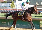 Ever So Lucky faces 9 in the Swale at Gulfstream Park.