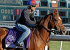 Novak At the Track: Pure Animal Novak At the Track: Pure Animal