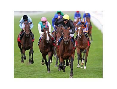 Masked Marvel pulls away to win the Ladbrokes St. Leger Stakes at Doncaster.<br><a target="blank" href="http://www.bloodhorse.com/horse-racing/photo-store?ref=http%3A%2F%2Fpictopia.com%2Fperl%2Fgal%3Fprovider_id%3D368%26ptp_photo_id%3D9662376%26ref%3Dstory">Order This Photo</a>