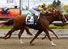 Plate Trial winner Not Bourbon heads a field of 15 in the Queen's Plate.