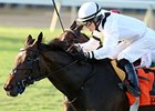 Nellie Cashman won the 2013 Virginia Oaks.