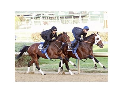 Hurricane Ike (right) worked six furlongs at Churchill Downs in 1:12 2/5.