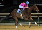 Speedy Immortal Eyes Back in MD Sprint 'Cap Speedy Immortal Eyes Back in MD Sprint 'Cap