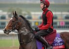 St Nicholas Abbey
<br><a target="blank" href="http://photos.bloodhorse.com/BreedersCup/2012-Breeders-Cup/Works/26130247_gxH6nS#!i=2189100375&k=cftRXk2">Order This Photo</a>
