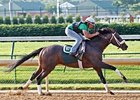 Oxbow worked 6 furlongs in 1:14 3/5.