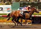 Killer Graces won the Landaluce on July 17.<br><a target="blank" href="http://www.bloodhorse.com/horse-racing/photo-store?ref=http%3A%2F%2Fpictopia.com%2Fperl%2Fgal%3Fprovider_id%3D368%26ptp_photo_id%3D9599591%26ref%3Dstory">Order This Photo</a>