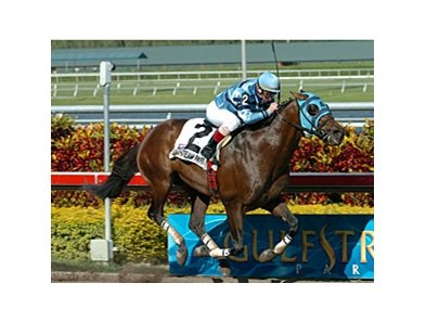 Gottcha Gold, shown winning the Skip Away Handicap, will try to win the Salvator Mile for the 2nd year in a row.<br><a target="blank" href="http://www.bloodhorse.com/horse-racing/photo-store?ref=http%3A%2F%2Fpictopia.com%2Fperl%2Fgal%3Fprovider_id%3D368%26ptp_photo_id%3D3879918%26ref%3Dstory">Order This Photo</a>