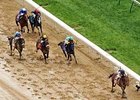 Mine That Bird left his Derby foes far behind. <br><a target="blank" href="http://www.bloodhorse.com/horse-racing/photo-store?ref=http%3A%2F%2Fgallery.pictopia.com%2Fbloodhorse%2Fgallery%2FS719439%2Fphoto%2F8065012%2F%3Fo%3D8">Order This Photo</a>