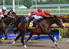 Indiano comes home strong to win the Mr. Prospector Stakes.<br><a target="blank" href="http://photos.bloodhorse.com/AtTheRaces-1/at-the-races-2012/22274956_jFd5jM#!i=2295071516&k=r7JvLGH">Order This Photo</a>