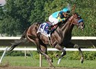 Next 24 Hours 'Critical' in Case of Paynter Next 24 Hours 'Critical' in Case of Paynter