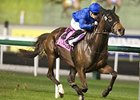Sajjhaa dominates the Cape Verdi at Meydan.