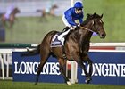 Sharestan won the Al Rashidiya Trial on Jan. 10.