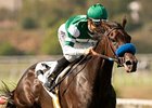 Winner's Circle: Lady Luck Winner's Circle: Lady Luck