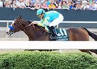 Bodemeister