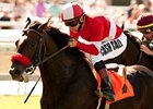 Acclamation will attempt to extend his winning streak to seven this weekend in the Eddie Read Handicap.