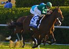 Gio Ponti winning the 2011 Shadwell Turf Mile.