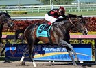 Cigar Street wins grade III Skip Away Stakes in 2013