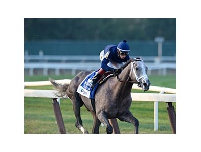 Havana<br><a target="blank" href="http://photos.bloodhorse.com/AtTheRaces-1/at-the-races-2013/27257665_QgCqdh#!i=2812800624&k=wdTzGPG">Order This Photo</a>