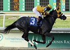 Mylute<br><a target="blank" href="http://photos.bloodhorse.com/AtTheRaces-1/at-the-races-2012/22274956_jFd5jM#!i=2438024868&k=wqdWcnS">Order This Photo</a>