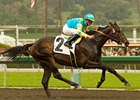 Pioneerof the Nile and Garrett Gomez take the San Felipe.<br><a target="blank" href="http://www.bloodhorse.com/horse-racing/photo-store?ref=http%3A%2F%2Fpictopia.com%2Fperl%2Fgal%3Fprovider_id%3D368%26ptp_photo_id%3D7901454%26ref%3Dstory">Order This Photo</a>
