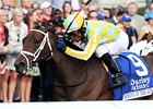 Spring in the Air takes on nine in the Chilukki Stakes Nov. 1 at Churchill Downs.