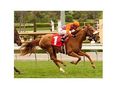 Malibu Pier comes home strong in the Santa Ana Stakes.<br><a target="blank" href="http://www.bloodhorse.com/horse-racing/photo-store?ref=http%3A%2F%2Fpictopia.com%2Fperl%2Fgal%3Fprovider_id%3D368%26ptp_photo_id%3D9455920%26ref%3Dstory">Order This Photo</a>