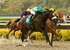 Zenyatta captures her third Clement Hirsch.<br><a target="blank" href="http://www.bloodhorse.com/horse-racing/photo-store?ref=http%3A%2F%2Fpictopia.com%2Fperl%2Fgal%3Fprovider_id%3D368%26ptp_photo_id%3D9133258%26ref%3Dstory">Order This Photo</a>
