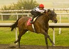 Mast Track cruises on the front end in the Native Diver. <br><a target="blank" href="http://www.bloodhorse.com/horse-racing/photo-store?ref=http%3A%2F%2Fpictopia.com%2Fperl%2Fgal%3Fprovider_id%3D368%26ptp_photo_id%3D8694071%26ref%3Dstory">Order This Photo</a>