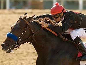 'Two Step' Tries Two Turns in Affirmed 'Two Step' Tries Two Turns in Affirmed