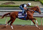 Tapiture Sailing Well into BC Dirt Mile Tapiture Sailing Well into BC Dirt Mile