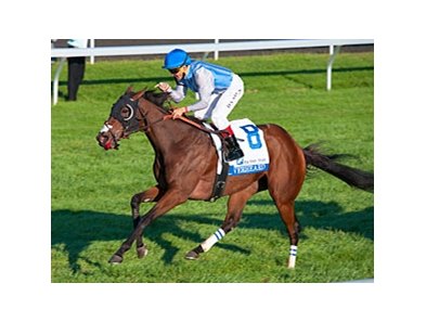 Overheard rolls to victory in the Pin Oak Valley View Stakes.<br><a target="blank" href="http://photos.bloodhorse.com/AtTheRaces-1/at-the-races-2013/27257665_QgCqdh#!i=2842682080&k=gXZhM96">Order This Photo</a>