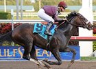 Dialed In in the Holy Bull Stakes.